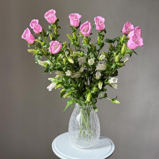 Pink bells for interior