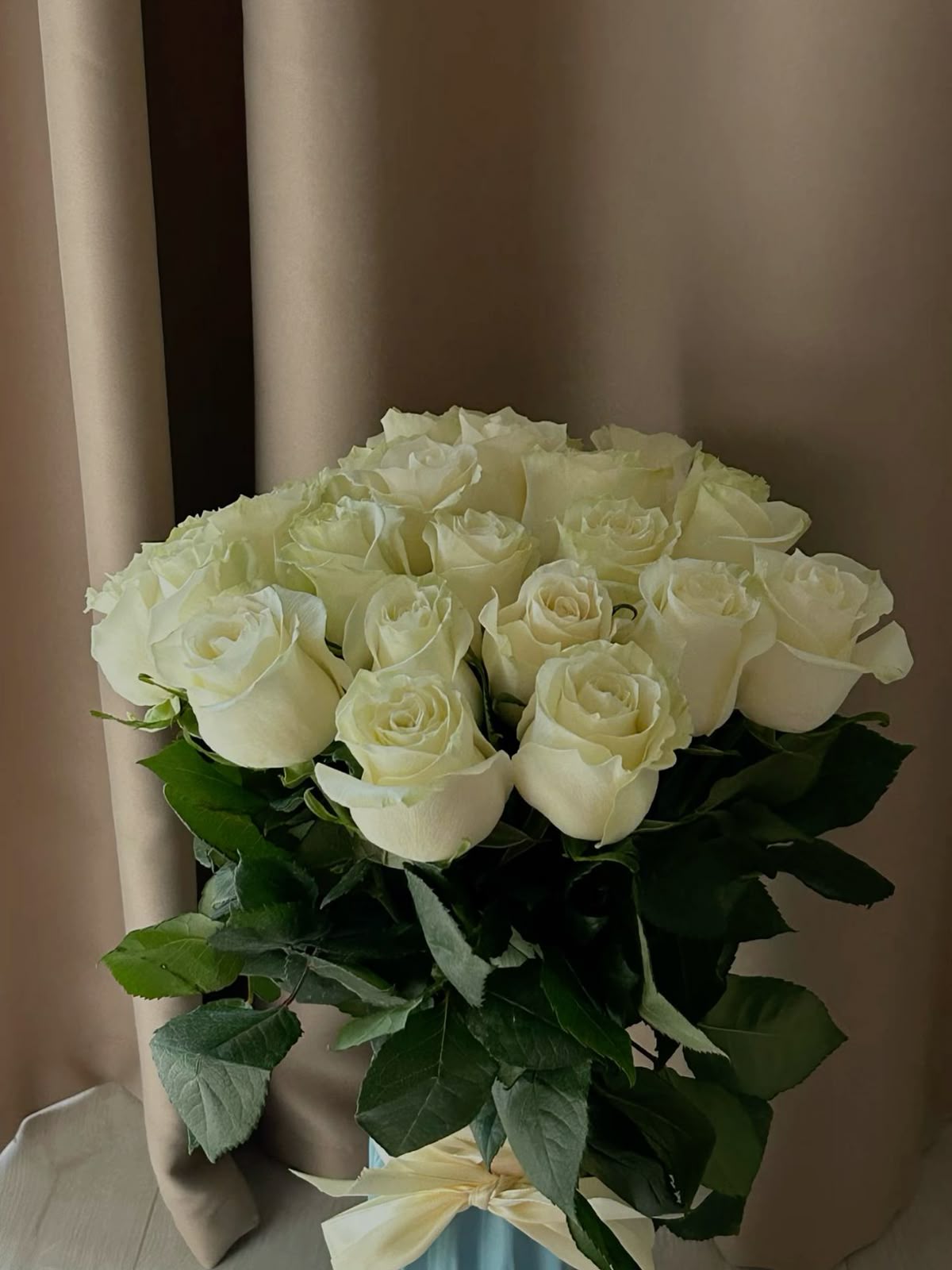 5 white roses