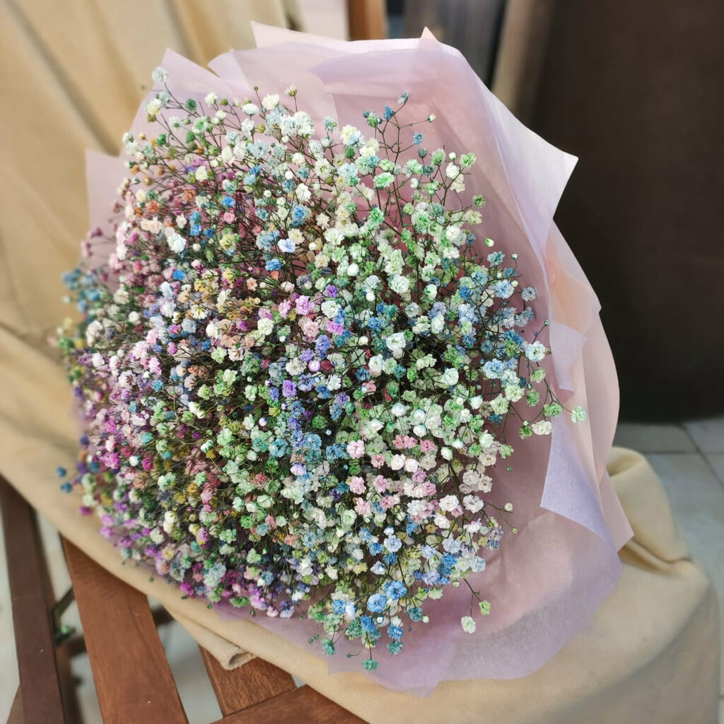 9 gypsophila