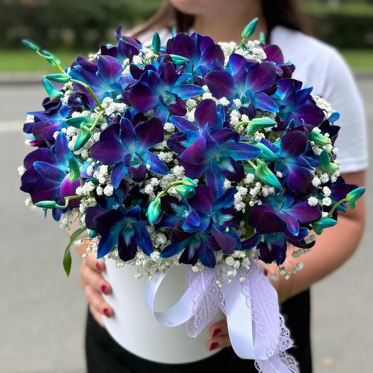 Космос 💜космические Орхидеи Дендробиум и белоснежная Гипсофила