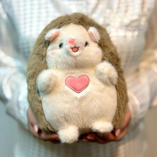 Soft toy in the form of a hedgehog 💫