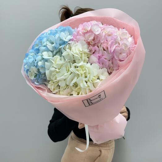 Букет из гортензий «Зефир»