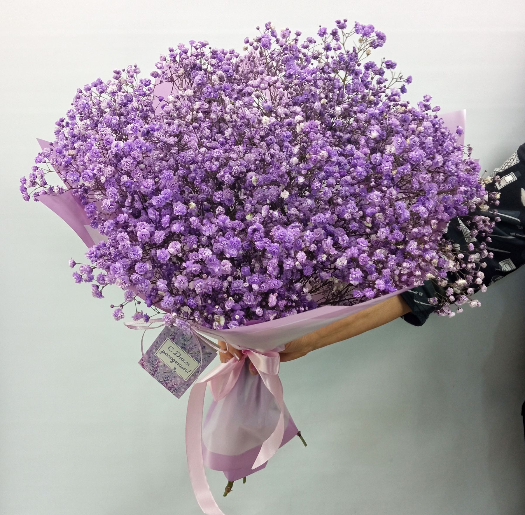 15 гипсофила