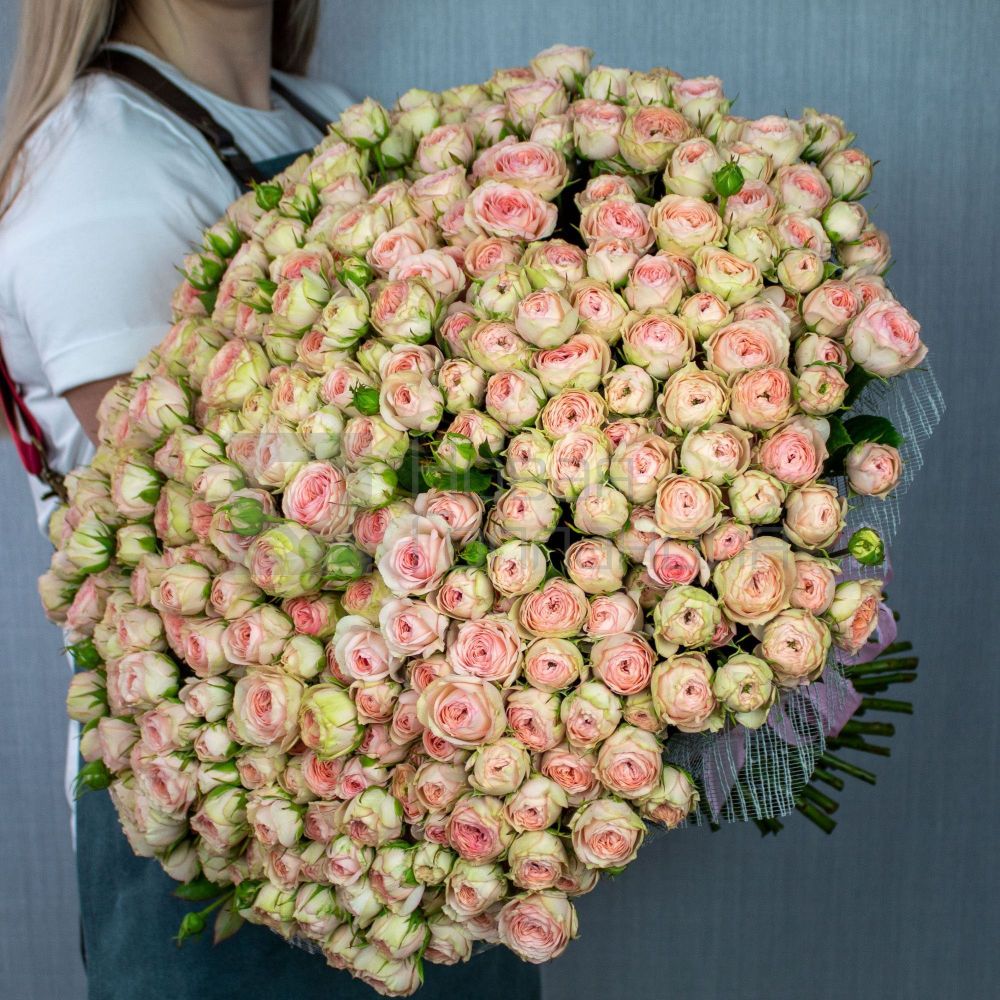 101 peony roses