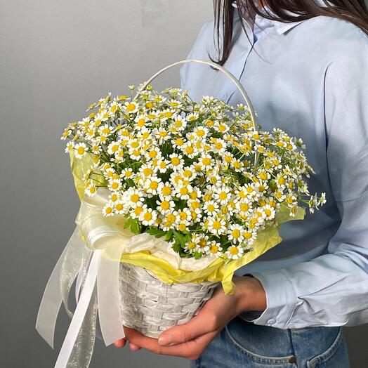 Basket with field daisies