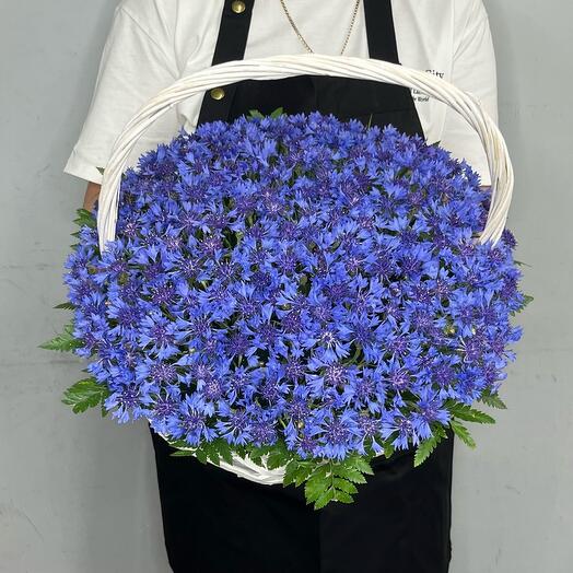 Васильки в корзине (M)