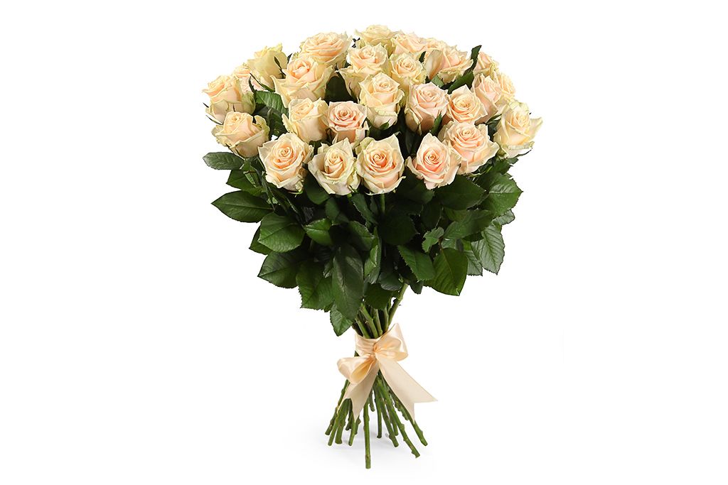 25 cream roses