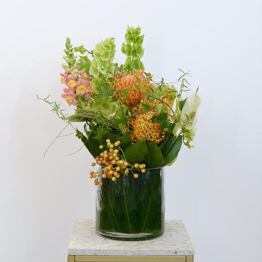 Exotic composition for the interior in a glass vase: mollusl, nutan and anterrinum