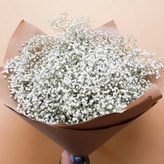 15 gypsophila