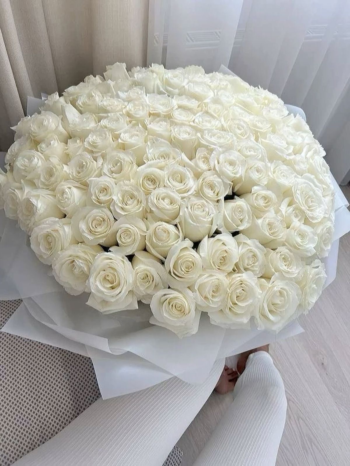 51 White Roses Elite