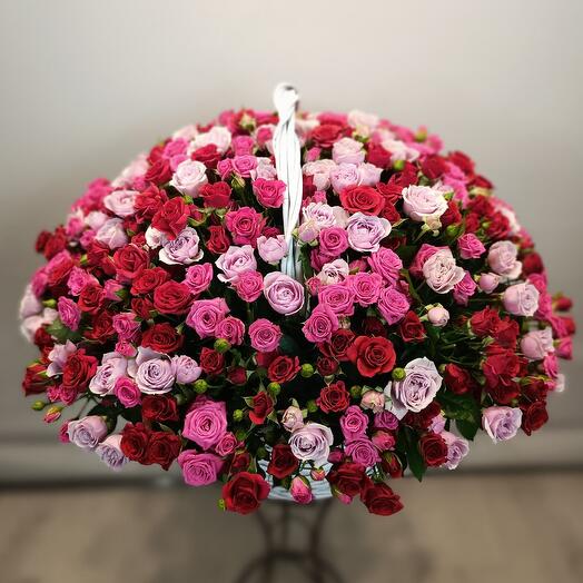 Basket 151 bush rose