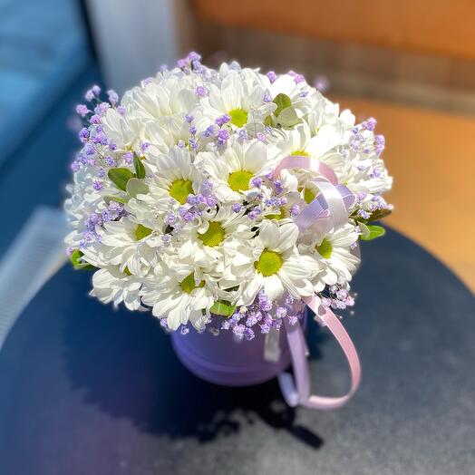 Хризантема ромашковая в коробке S