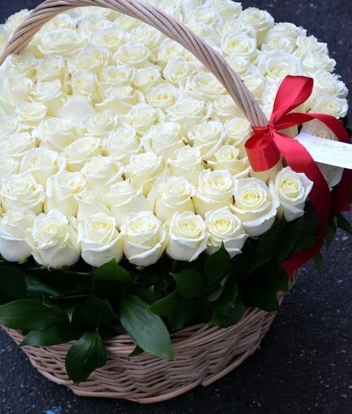 15 white roses