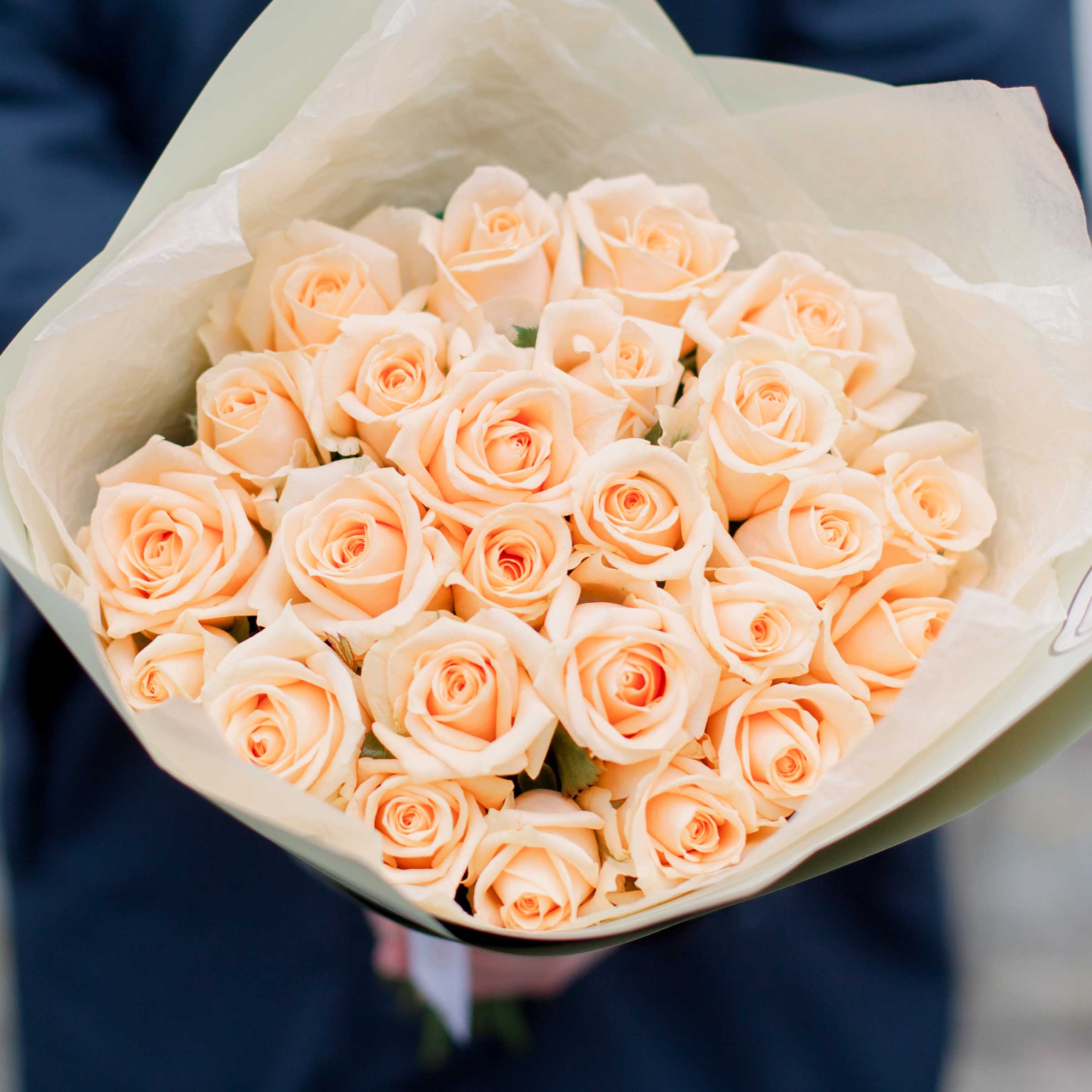 25 кремовых роз