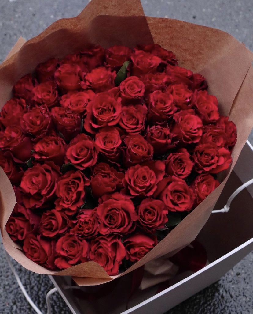 51 красная роза премиум 🌹