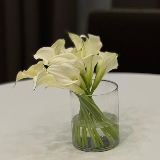 Calls in a vase for the interior