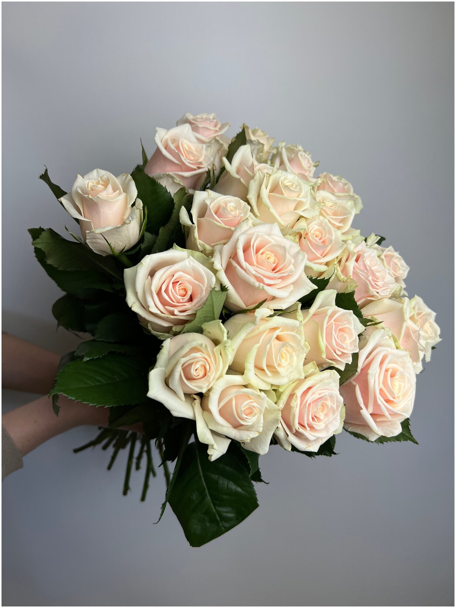 7 cream roses