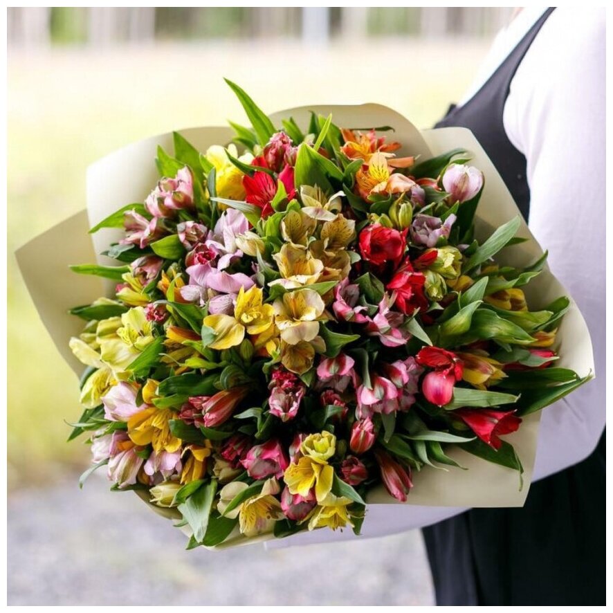 25 альстромерии