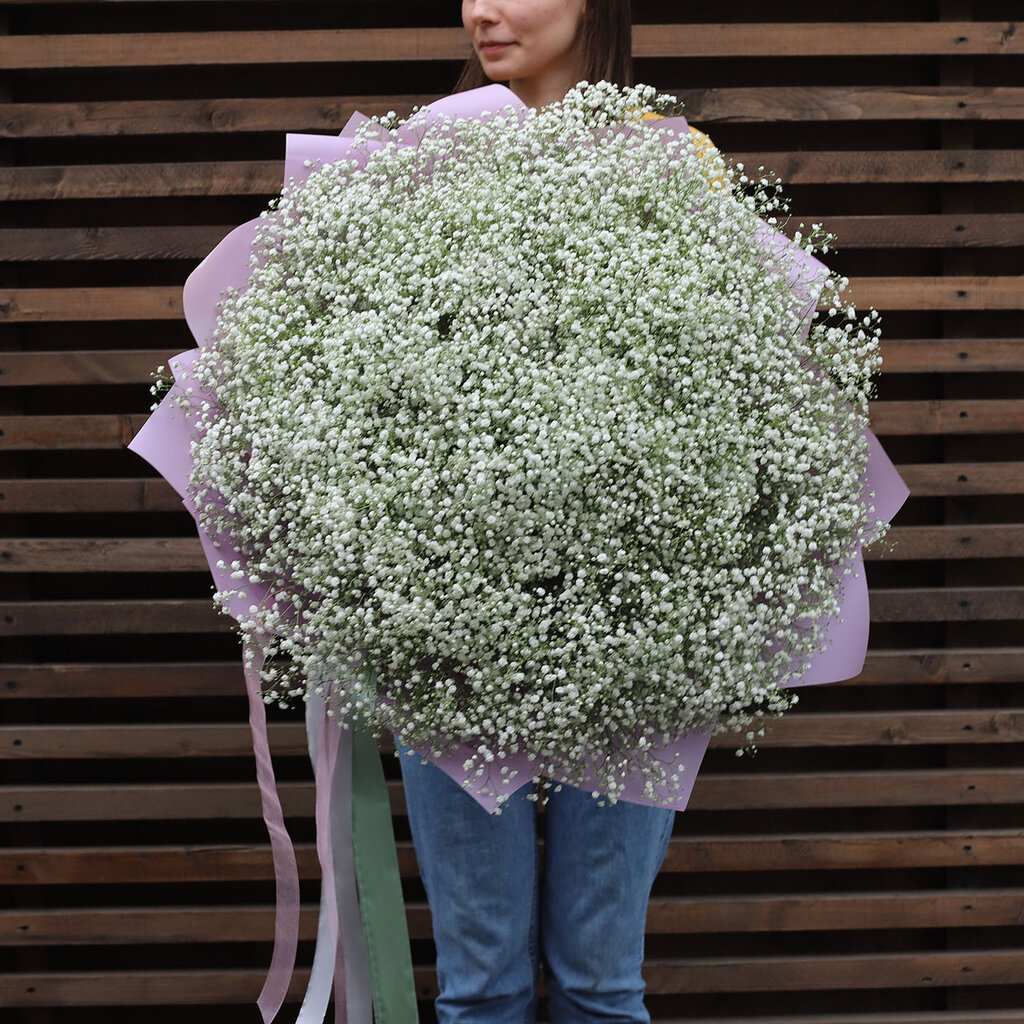 51 gypsophila