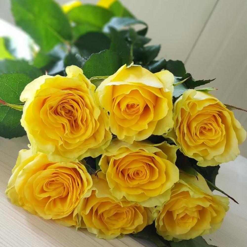 7 желтых роз