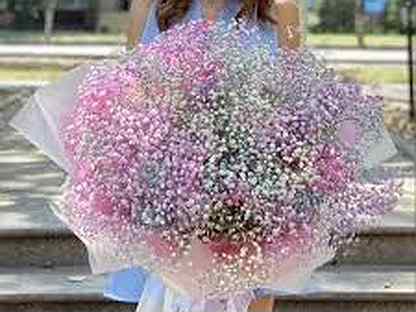 25 гипсофила