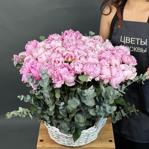 Pink peonies (51 peony)