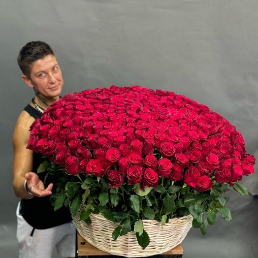 301 rose in the basket