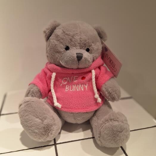 Soft toy "Bear in a sweatshirt"