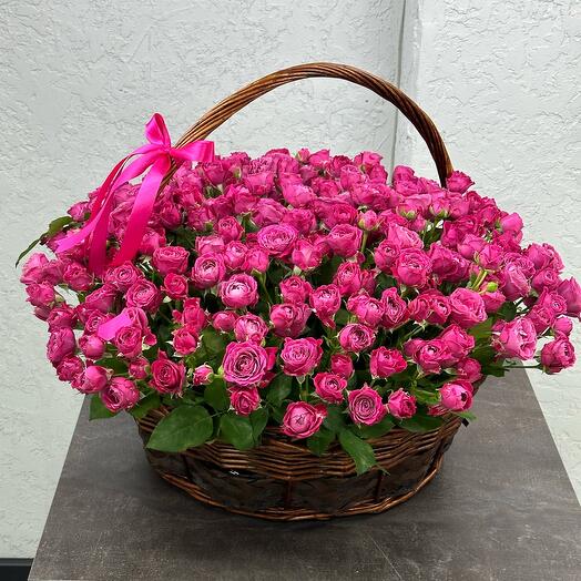 Raspberry bush rose in the basket