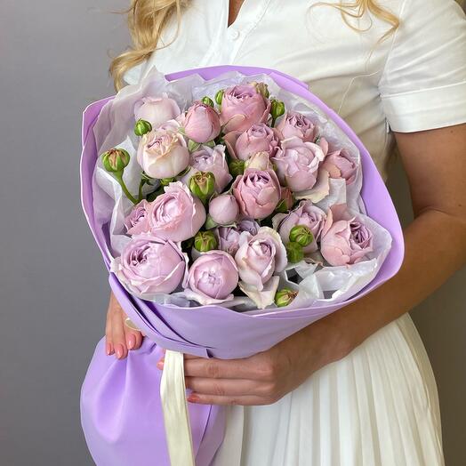 Lavender roses Pionovid 5