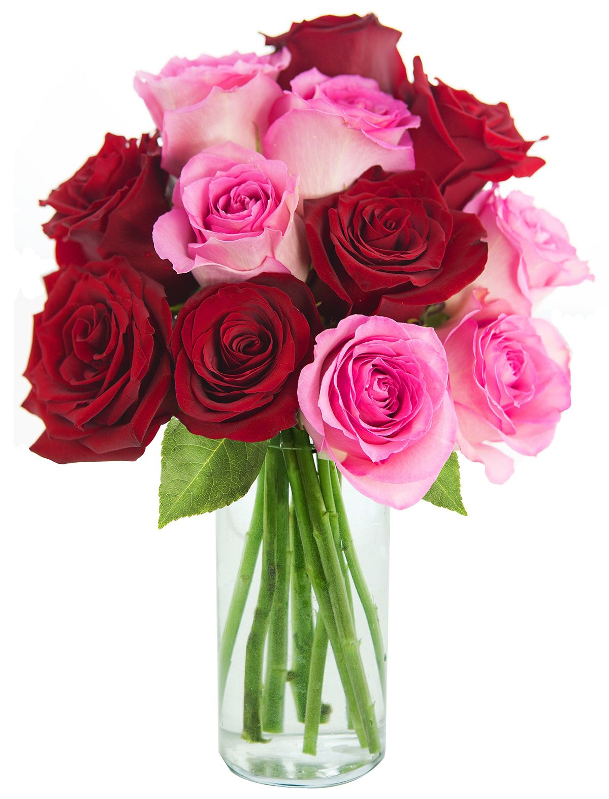 7 pink roses