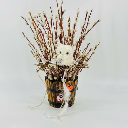 Wooden Kashpo with a living verba 51 pcs and an owl