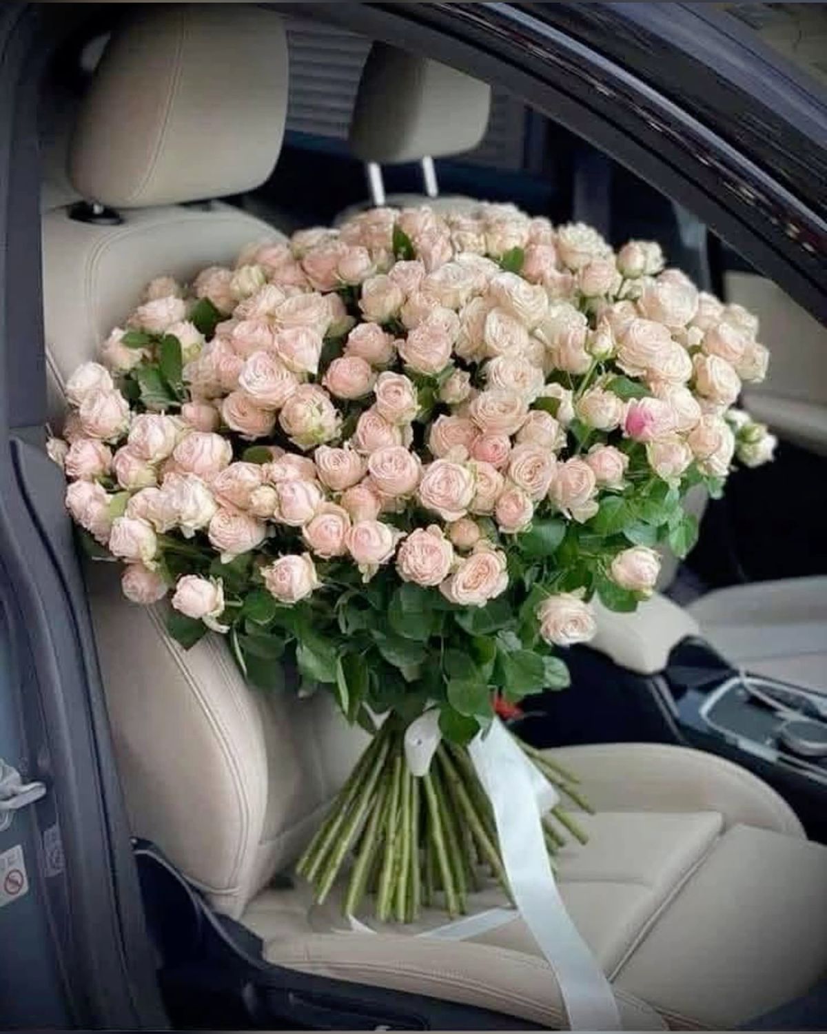 Букет из 1001 розы для незабываемых эмоций 🌹