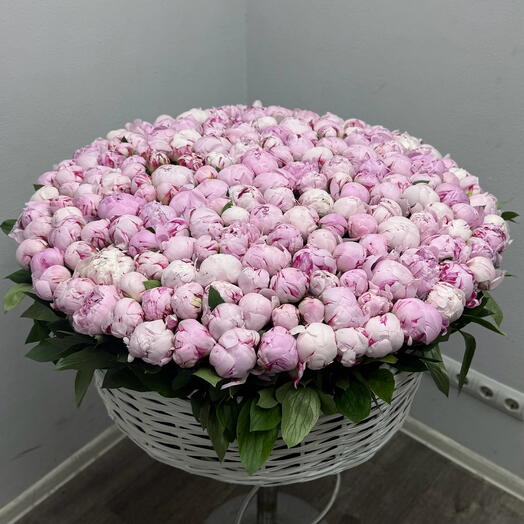 201 Пион — Корзина Впечатлений 💕