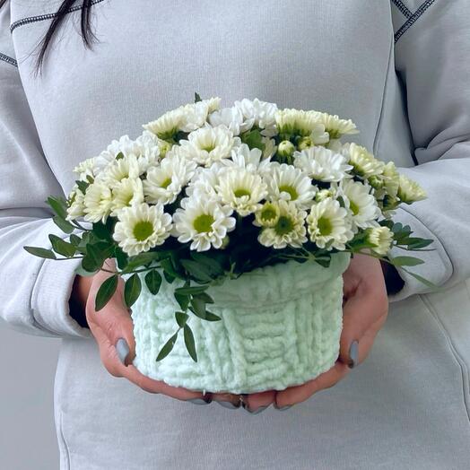 Композиция в вязаном кашпо