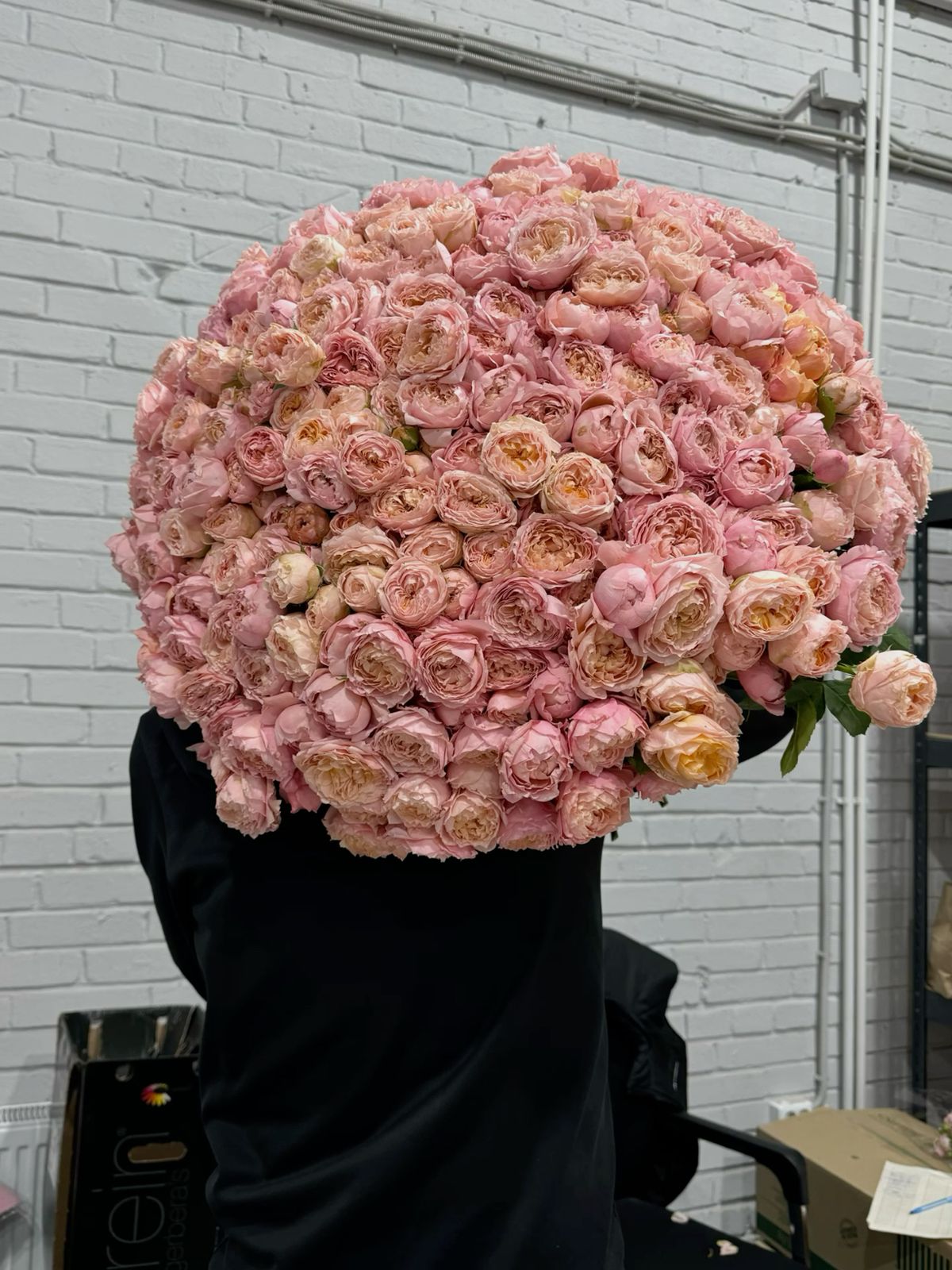 101 roses