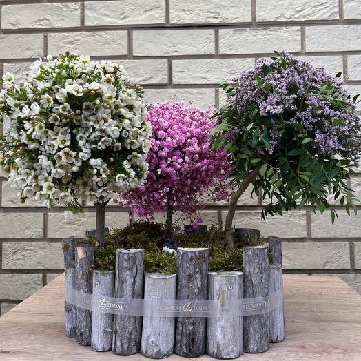 Композиция Цветущий сад