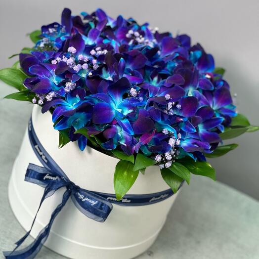 Букет из 19 дендробиум и гипсофил