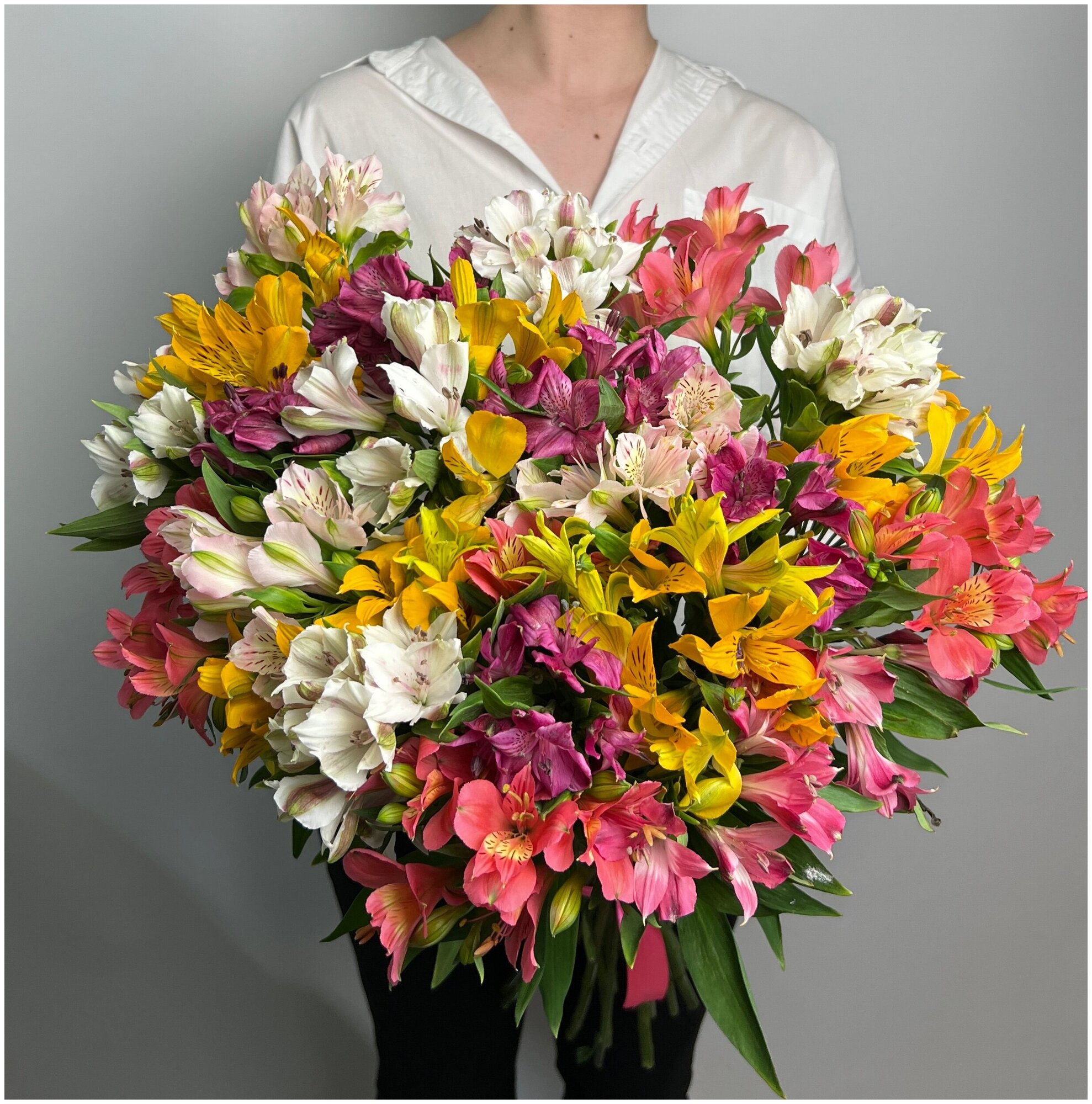 31 альстромерии