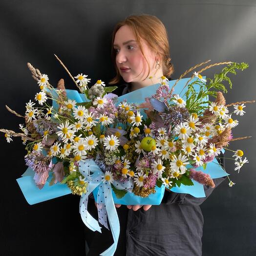 Летние луга