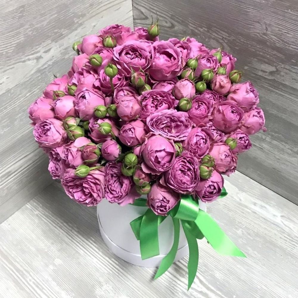 25 peony roses