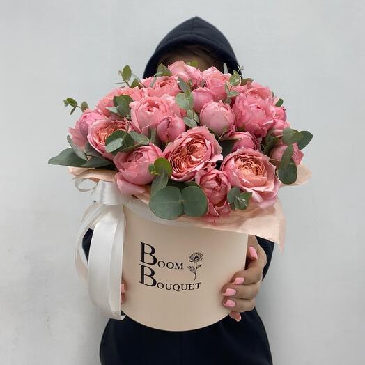 Pionovite bush rose Juliet in a box💕