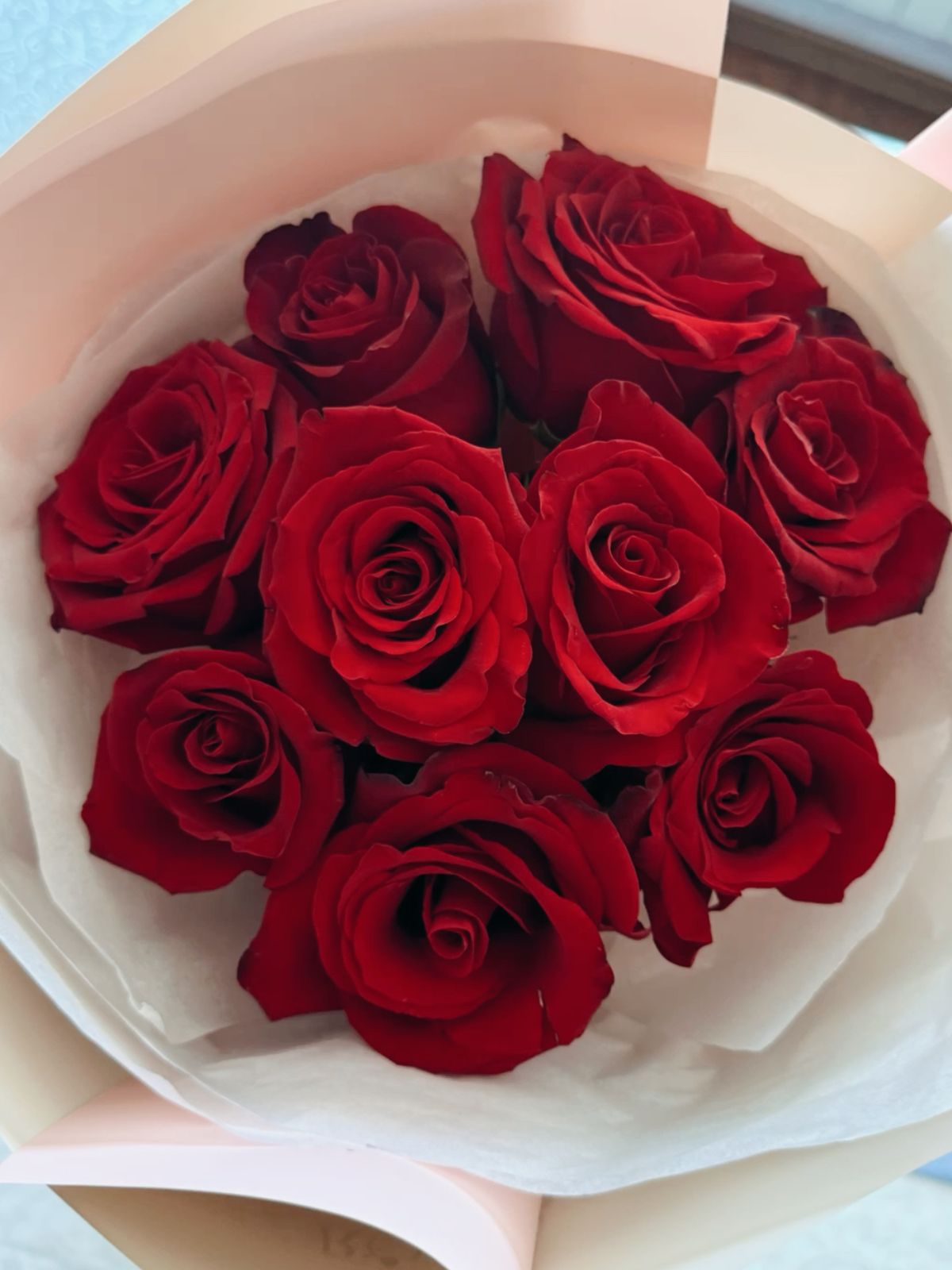 101 Red Roses Elite 🌹🔥