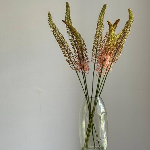 Эремурус в интерьер