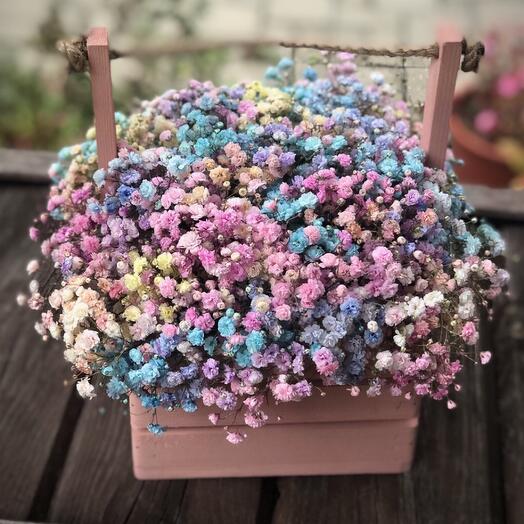 Комплимент 458