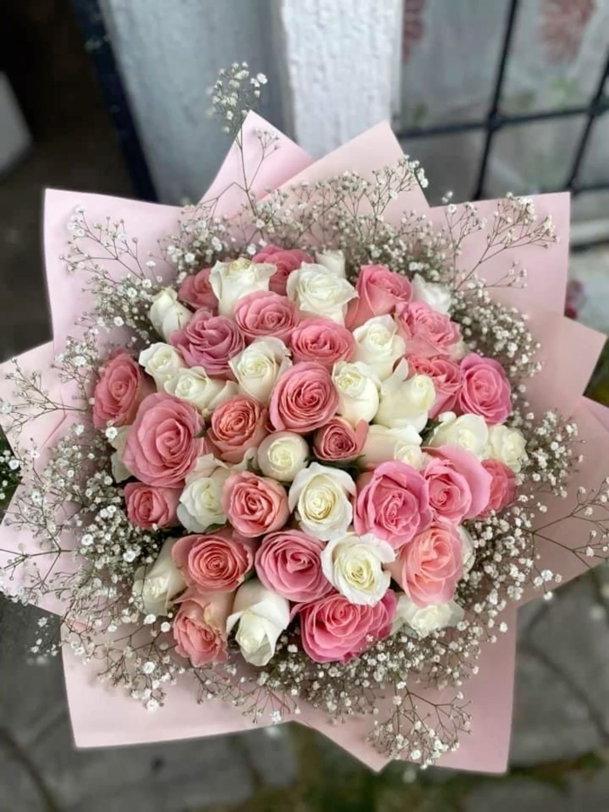 25 Pink Roses 50 cm Premium 🌹
