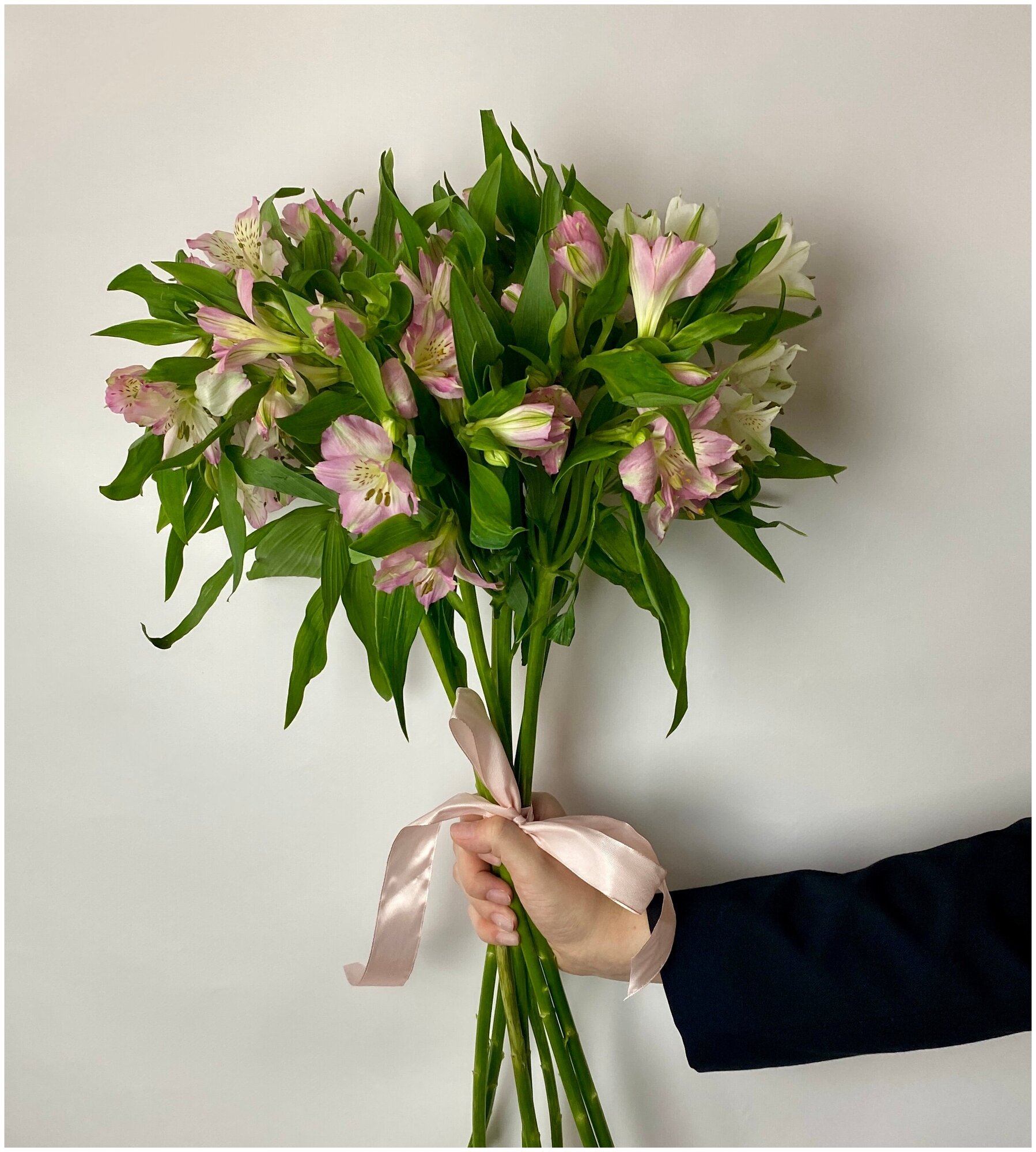 7 альстромерии