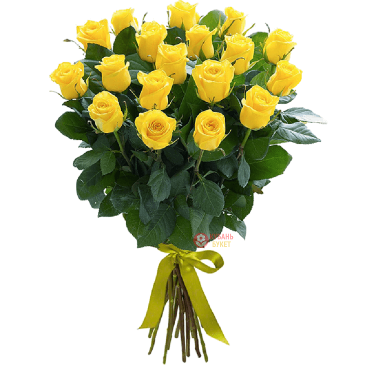 5 yellow roses