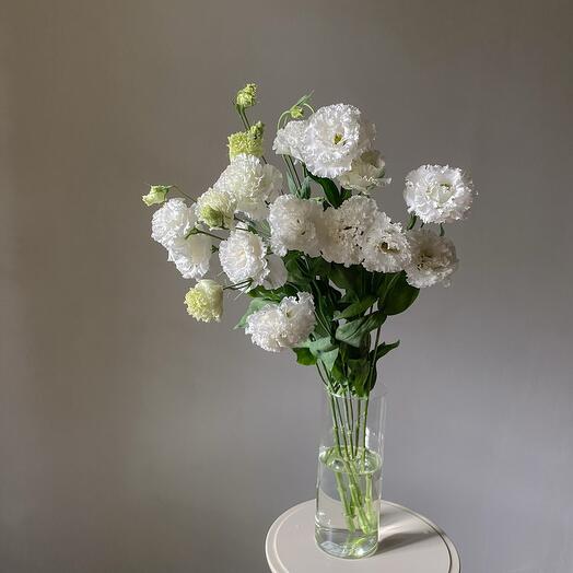 White magnificent eastoma for the interior