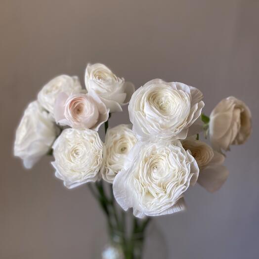 Ранункулюс (лютик)